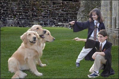 Fan art with three kids dressed up
   as Harry Potter characters and a three headed Golden Retriever